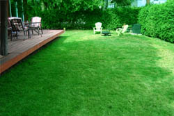 cottage rental lake simcoe